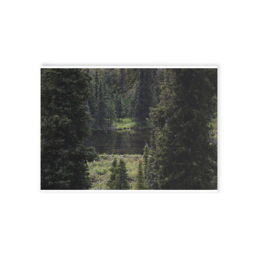 Scenic Forest Lake Holiday Card — Nature Christmas Card (One-Sided)