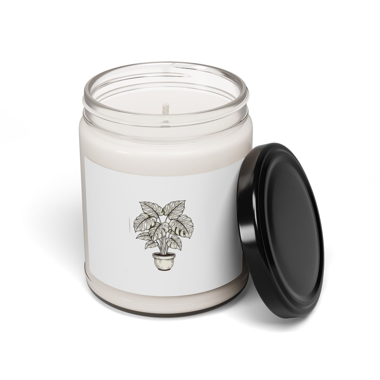 Fine Line Potted Plant Candle, Moody Botanical Art | Herbarium Style Soy