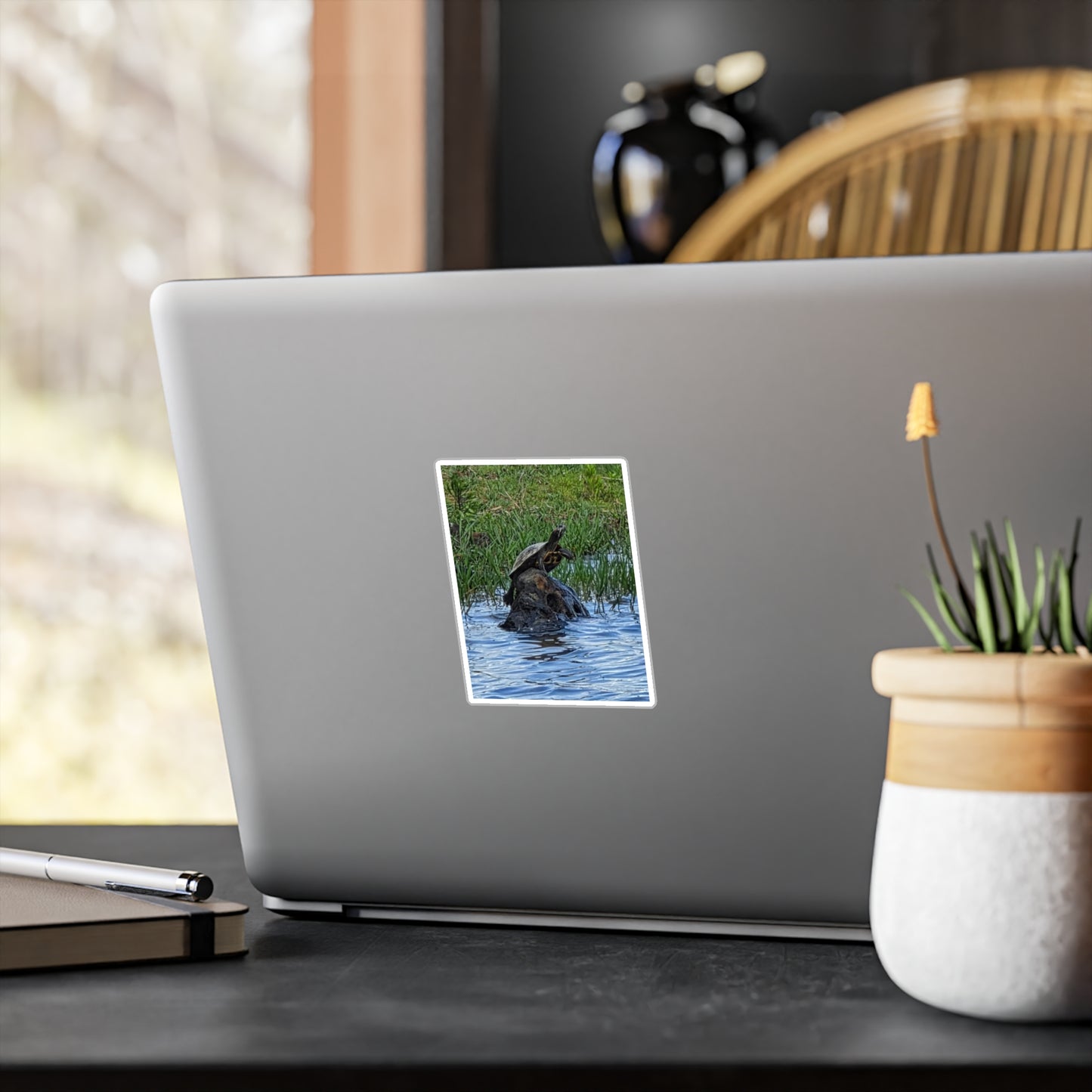 Turtle Kiss-Cut Vinyl Decal — Pond Turtle Photo Sticker
