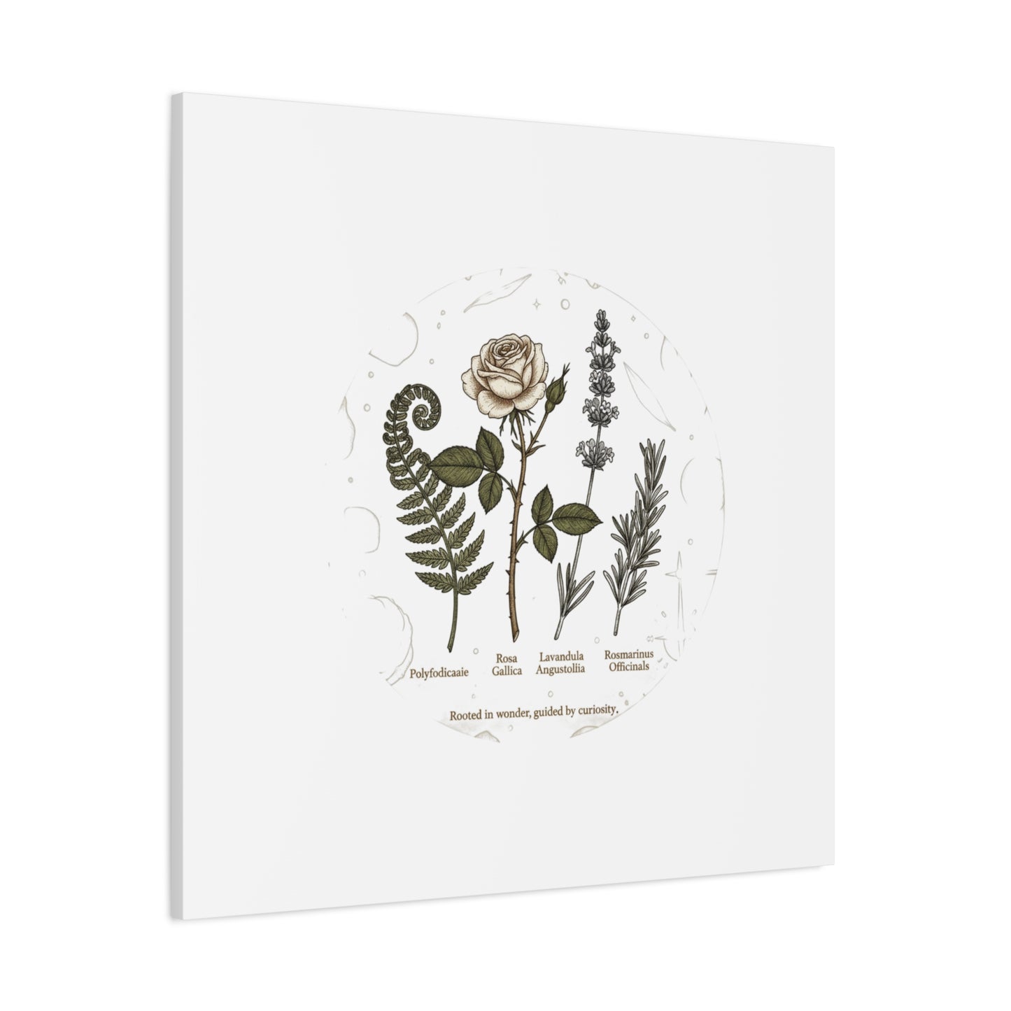 Matte Canvas, Stretched, 1.25"