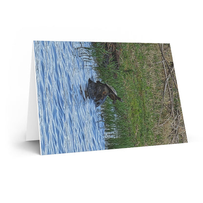 Greeting Card — Rustic Turtle Pond Photo Blank Note Card
