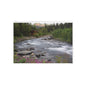 River Cabin Holiday Card — Scenic Mountain Stream Photo Card (One-Sided)