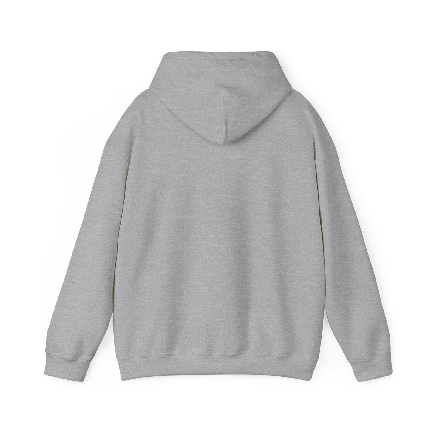 Rejoice in the Lord Hoodie - Light Colors – Christian Faith Pullover