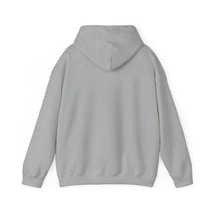 Rejoice in the Lord Hoodie - Light Colors – Christian Faith Pullover