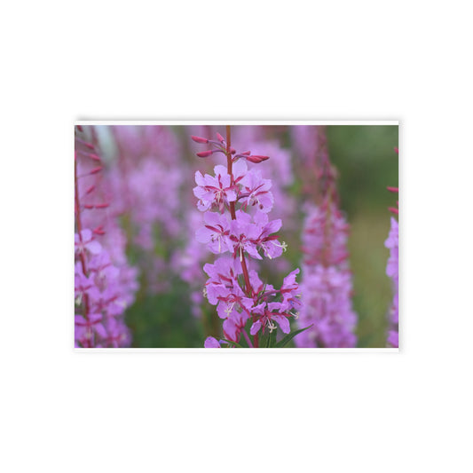 Floral Holiday Cards — Pink Wildflower One-Sided Greeting Cards
