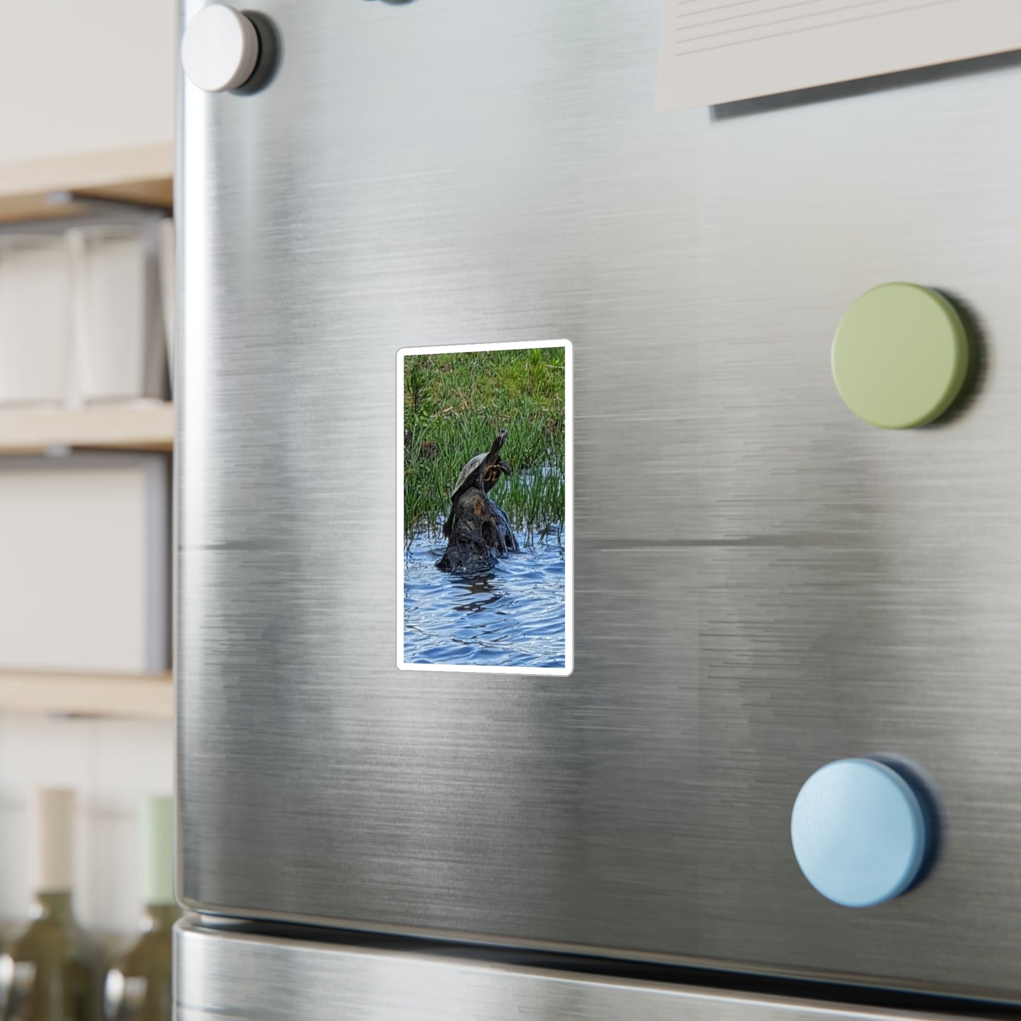 Turtle Kiss-Cut Vinyl Decal — Pond Turtle Photo Sticker