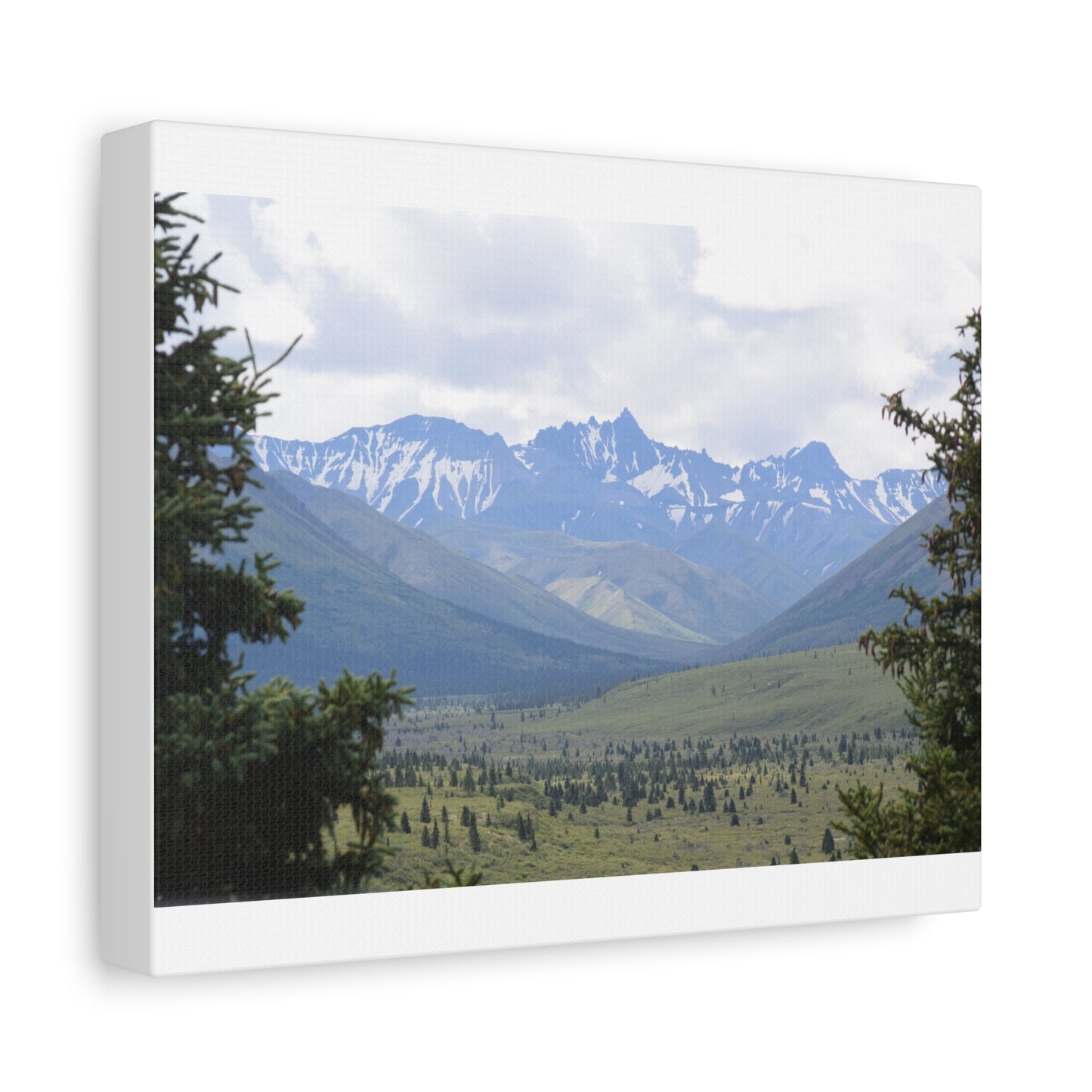 Matte Canvas, Stretched, 1.25"