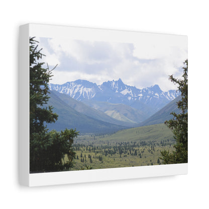 Matte Canvas, Stretched, 1.25"