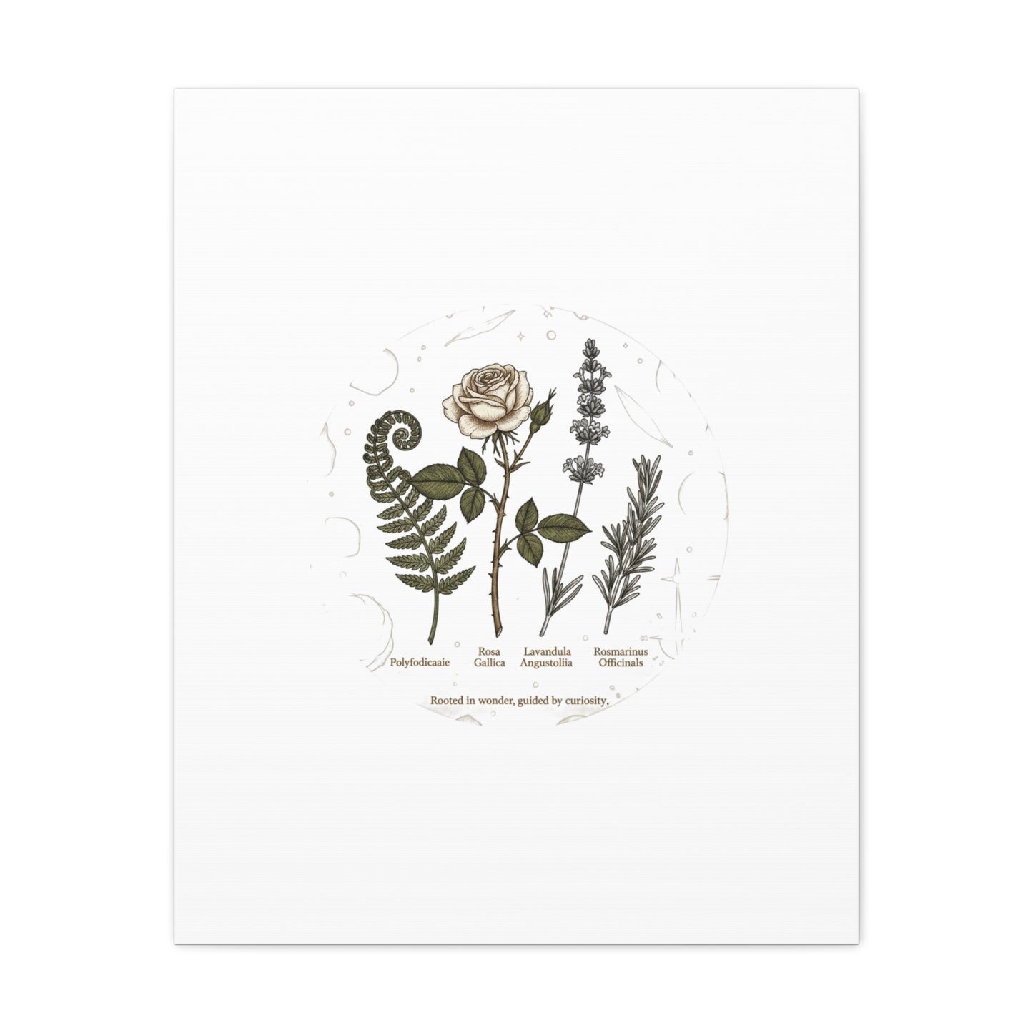 Matte Canvas, Stretched, 1.25"