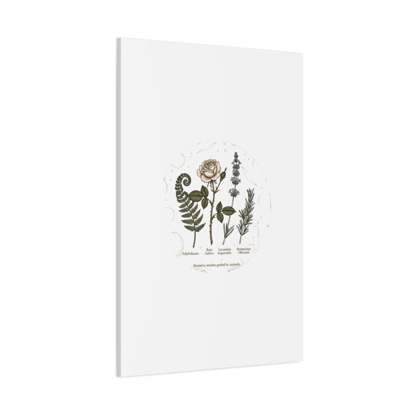 Matte Canvas, Stretched, 1.25"