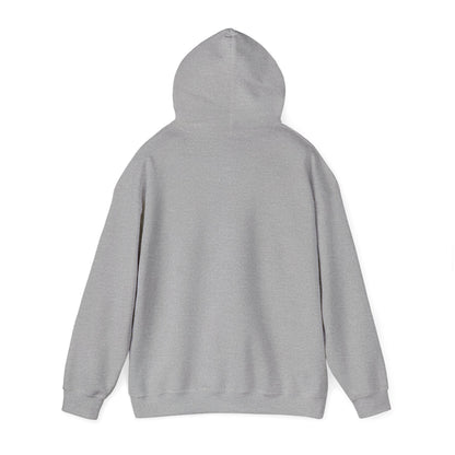 Rejoice in the Lord Hoodie - Light Colors – Christian Faith Pullover