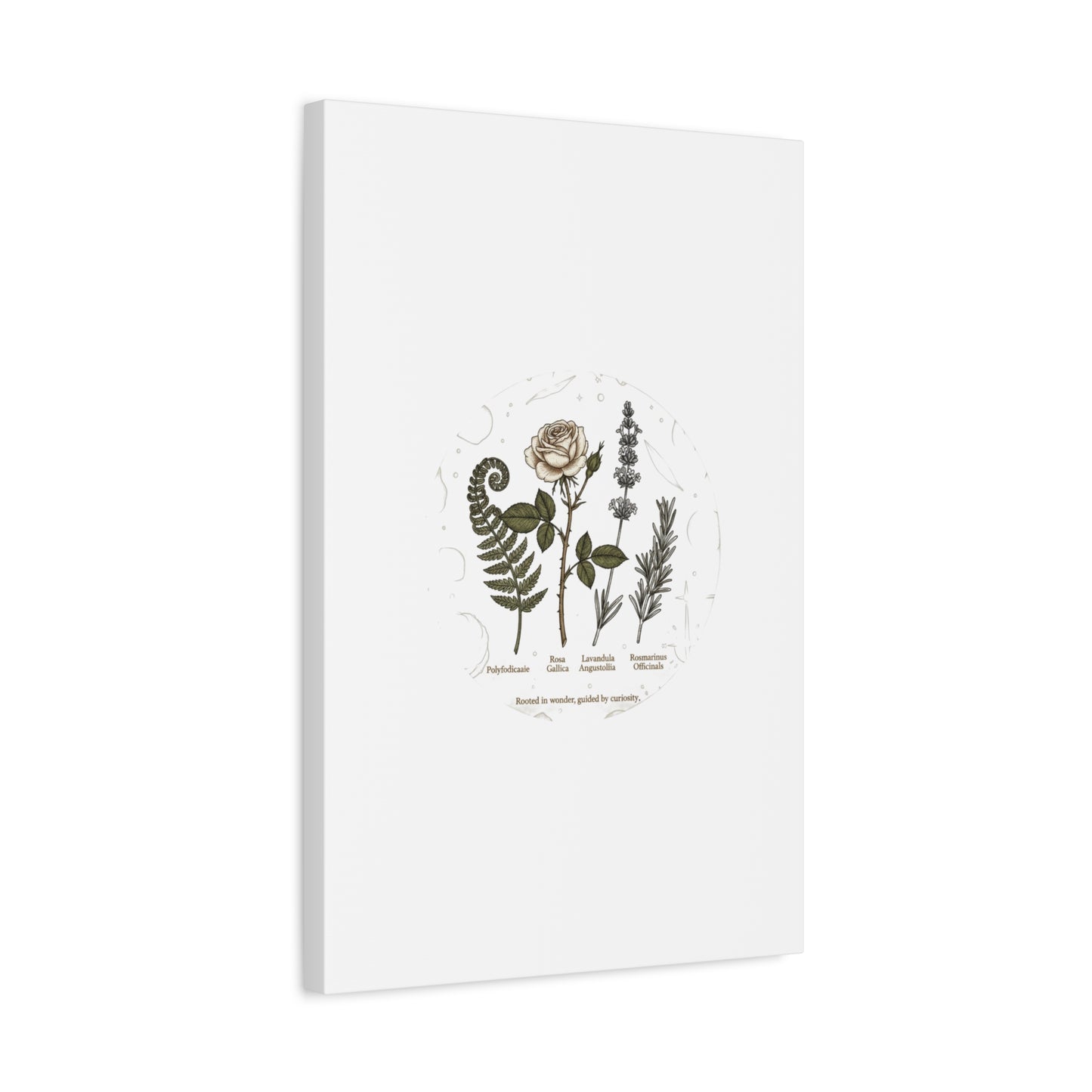 Matte Canvas, Stretched, 1.25"