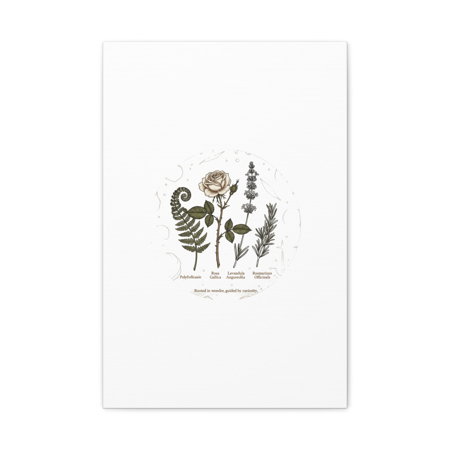Matte Canvas, Stretched, 1.25"