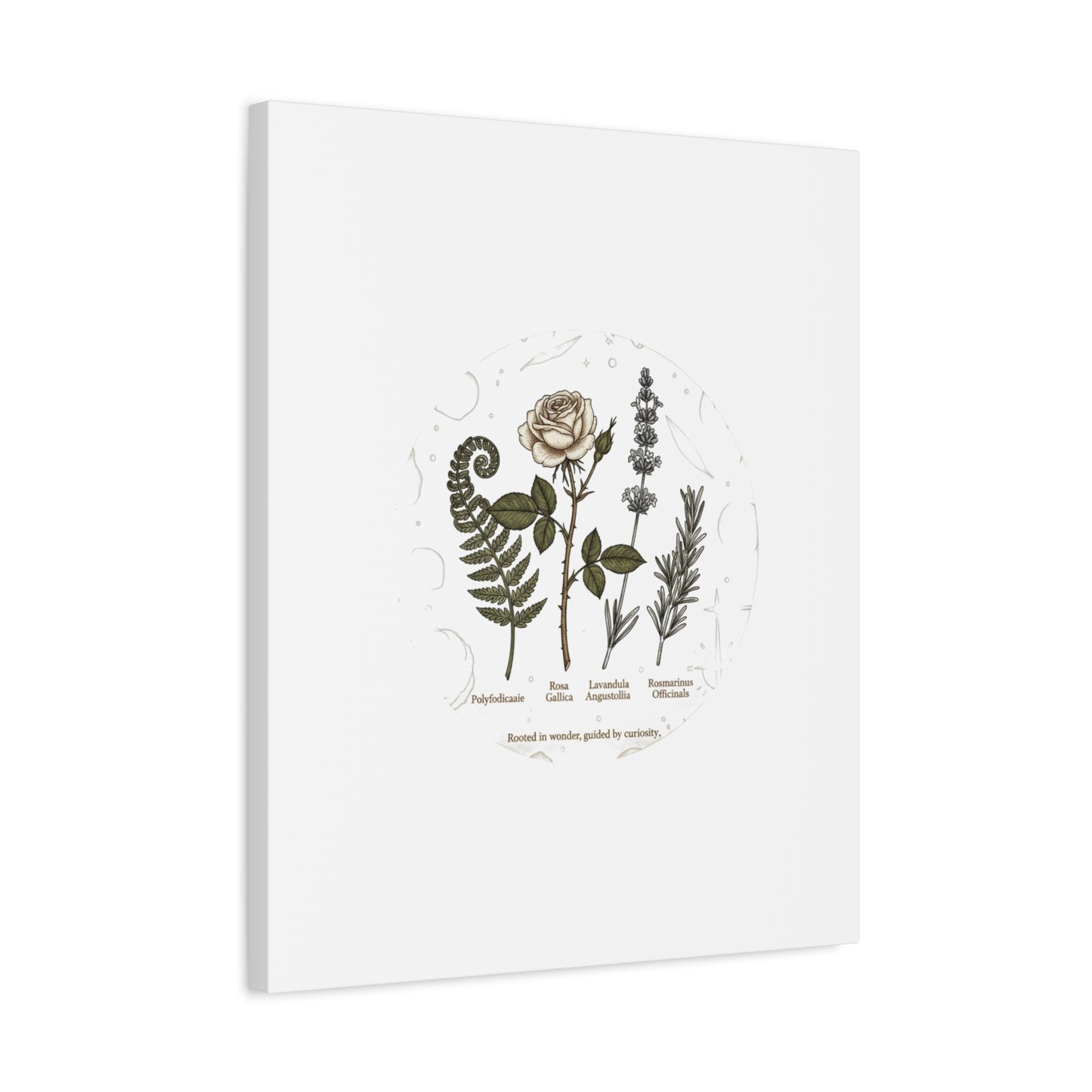 Matte Canvas, Stretched, 1.25"