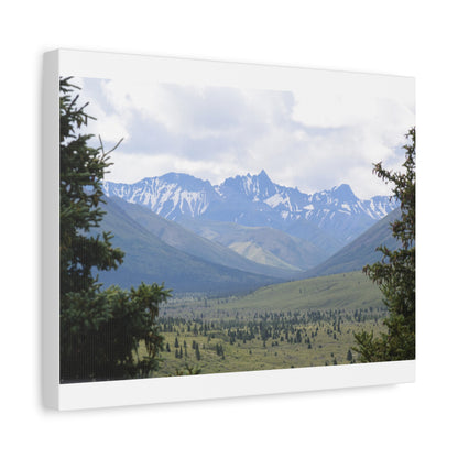 Matte Canvas, Stretched, 1.25"