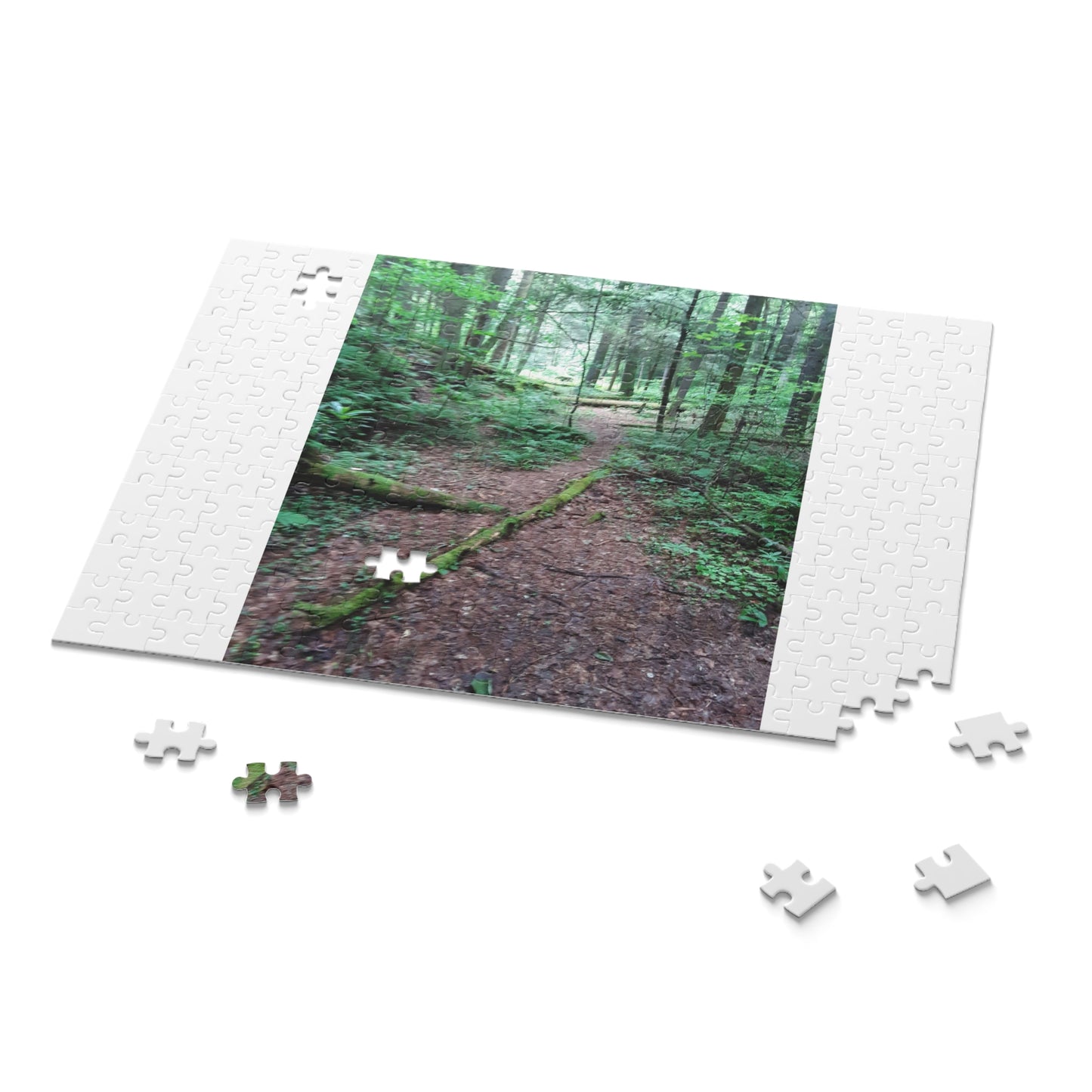 Forest Trail Puzzle - Scenic Woodland Path 120/252/500-Piece Jigsaw