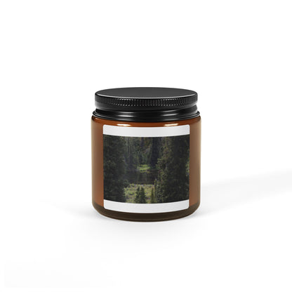 Amber Jar Soy Candle — Forest Scented Aromatic Candle (Multiple Sizes)