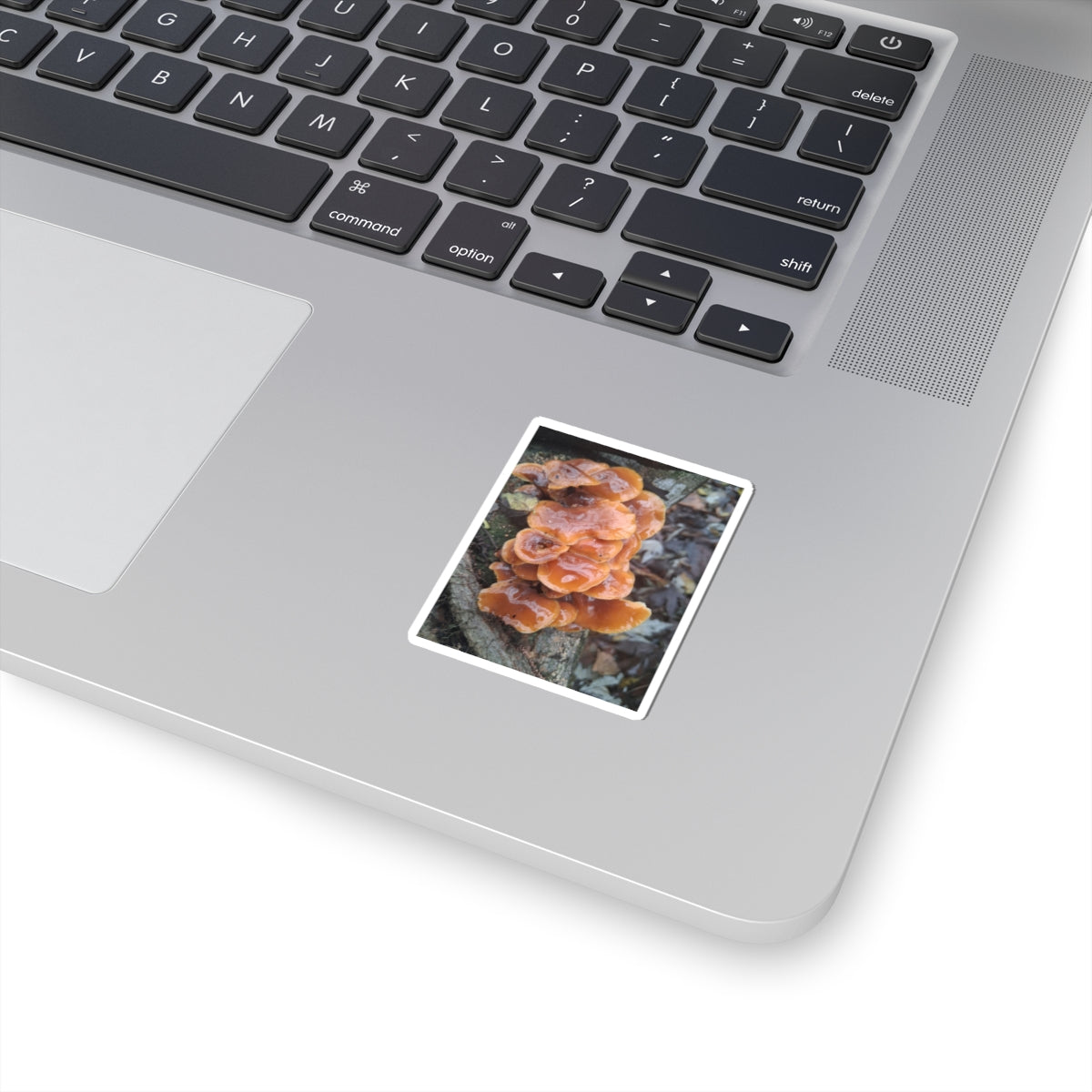 Mushroom Sticker — Orange Chicken of the Woods Nature Kiss-Cut Sticker