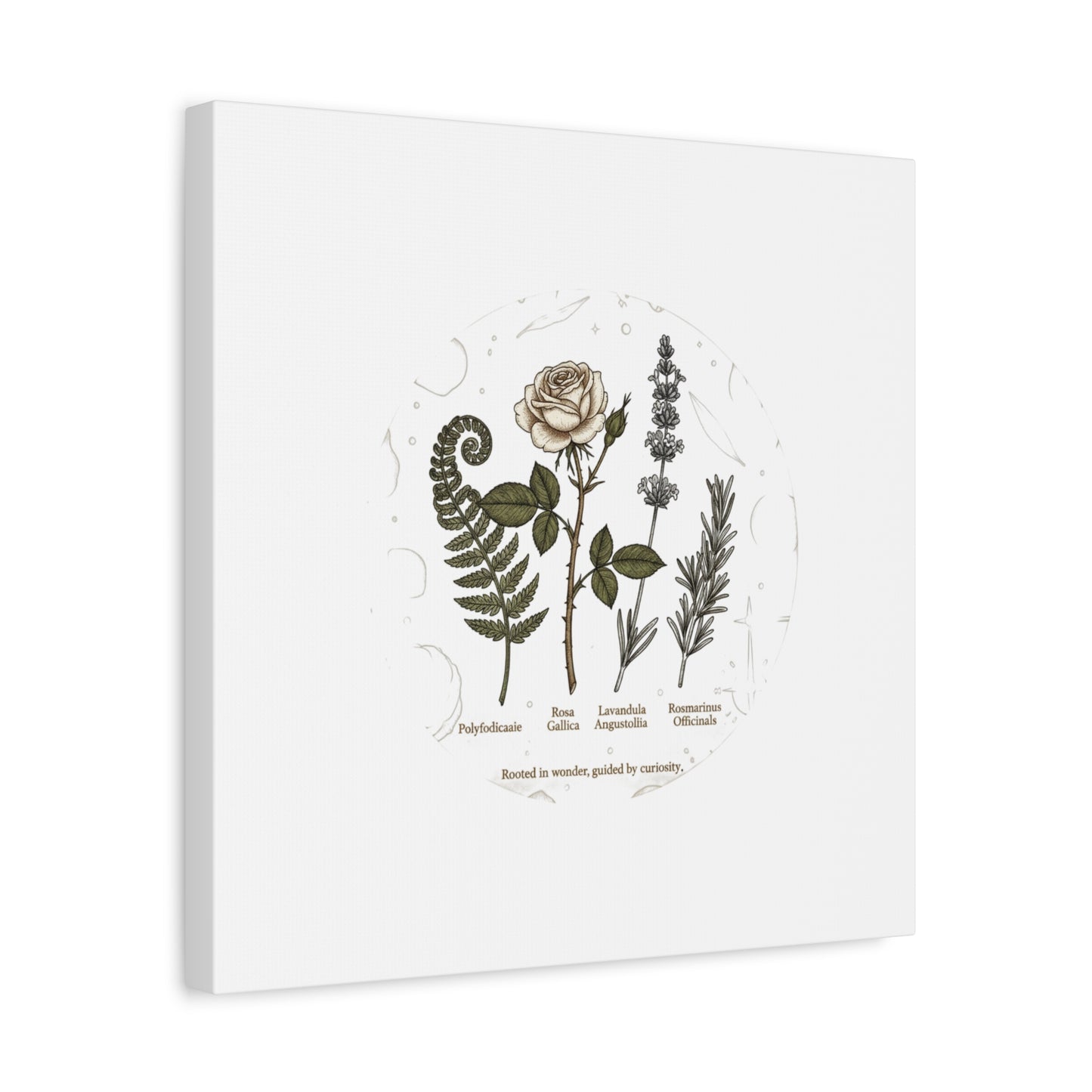 Matte Canvas, Stretched, 1.25"