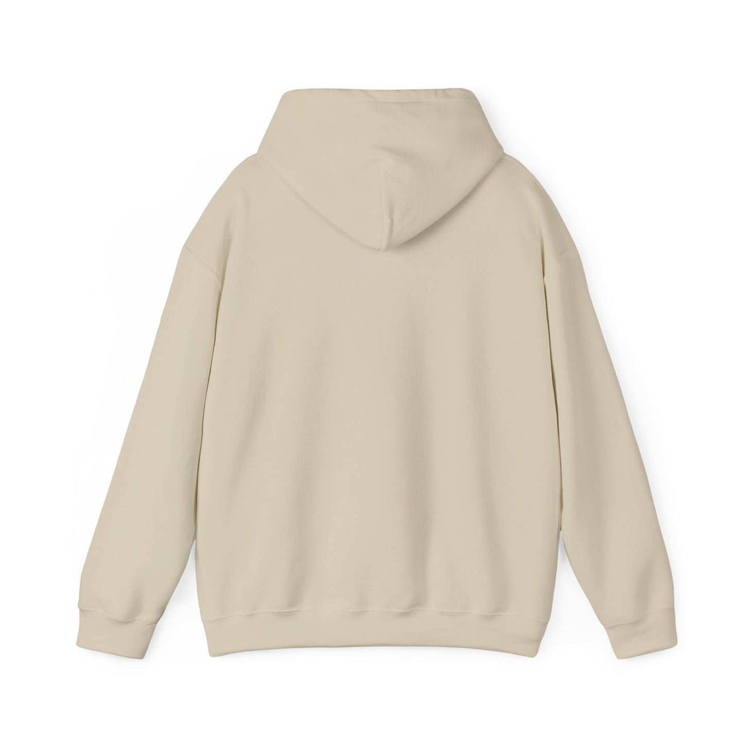 Rejoice in the Lord Hoodie - Light Colors – Christian Faith Pullover
