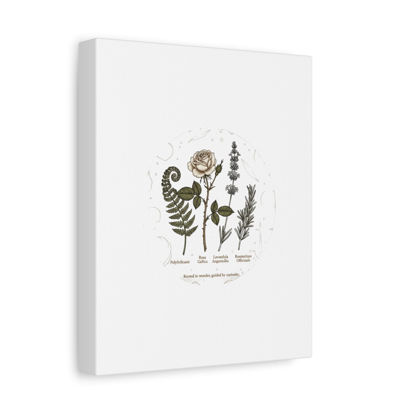Matte Canvas, Stretched, 1.25"