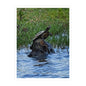 Turtle Kiss-Cut Vinyl Decal — Pond Turtle Photo Sticker