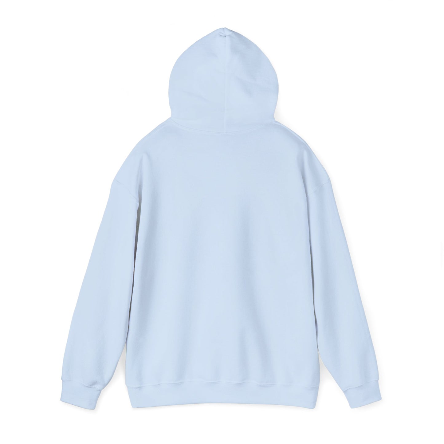 Rejoice in the Lord Hoodie - Light Colors – Christian Faith Pullover