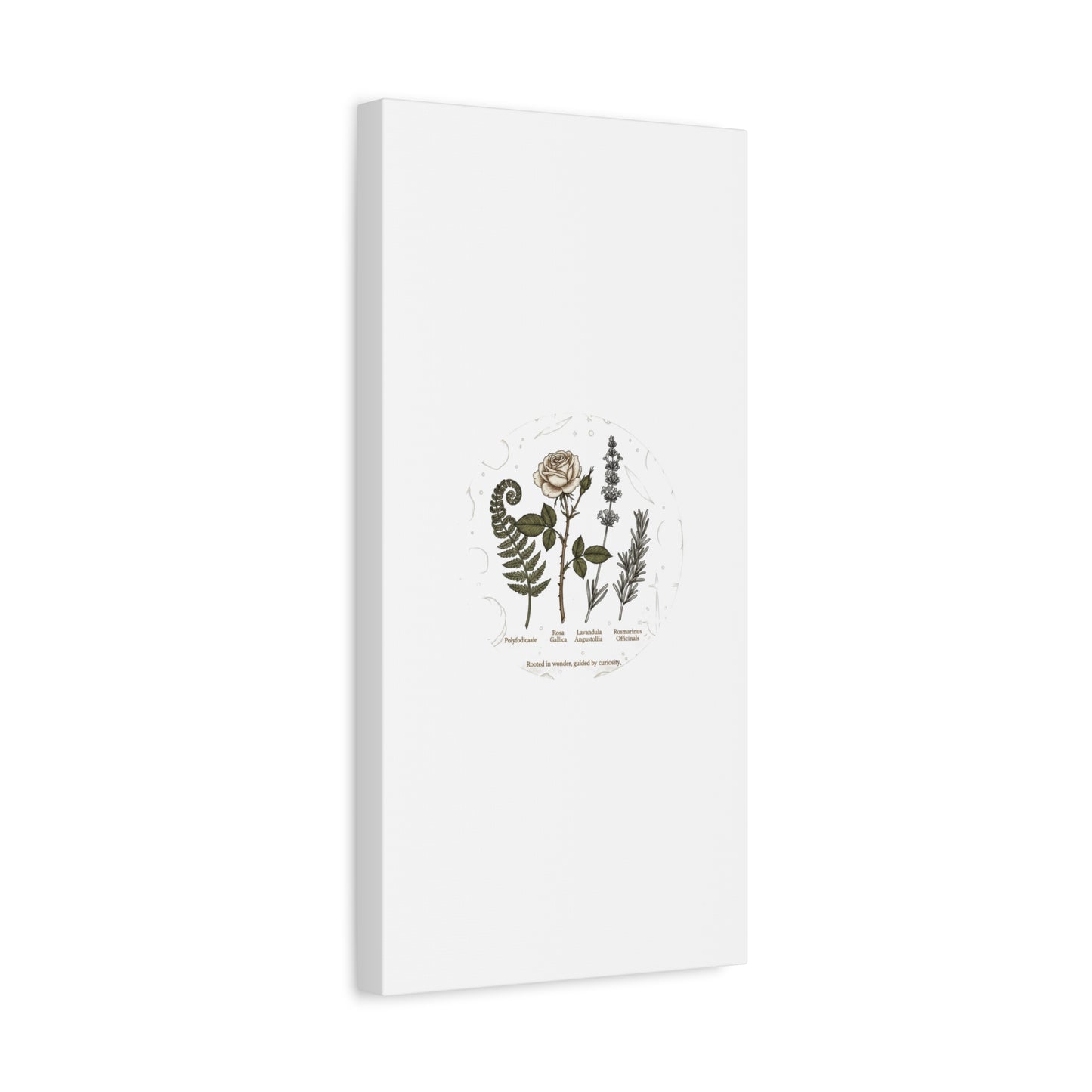 Matte Canvas, Stretched, 1.25"