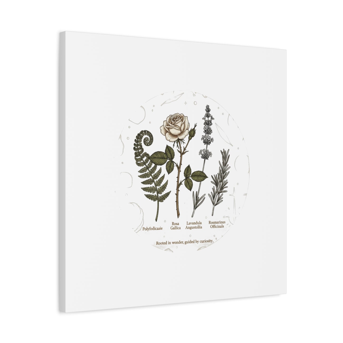 Matte Canvas, Stretched, 1.25"
