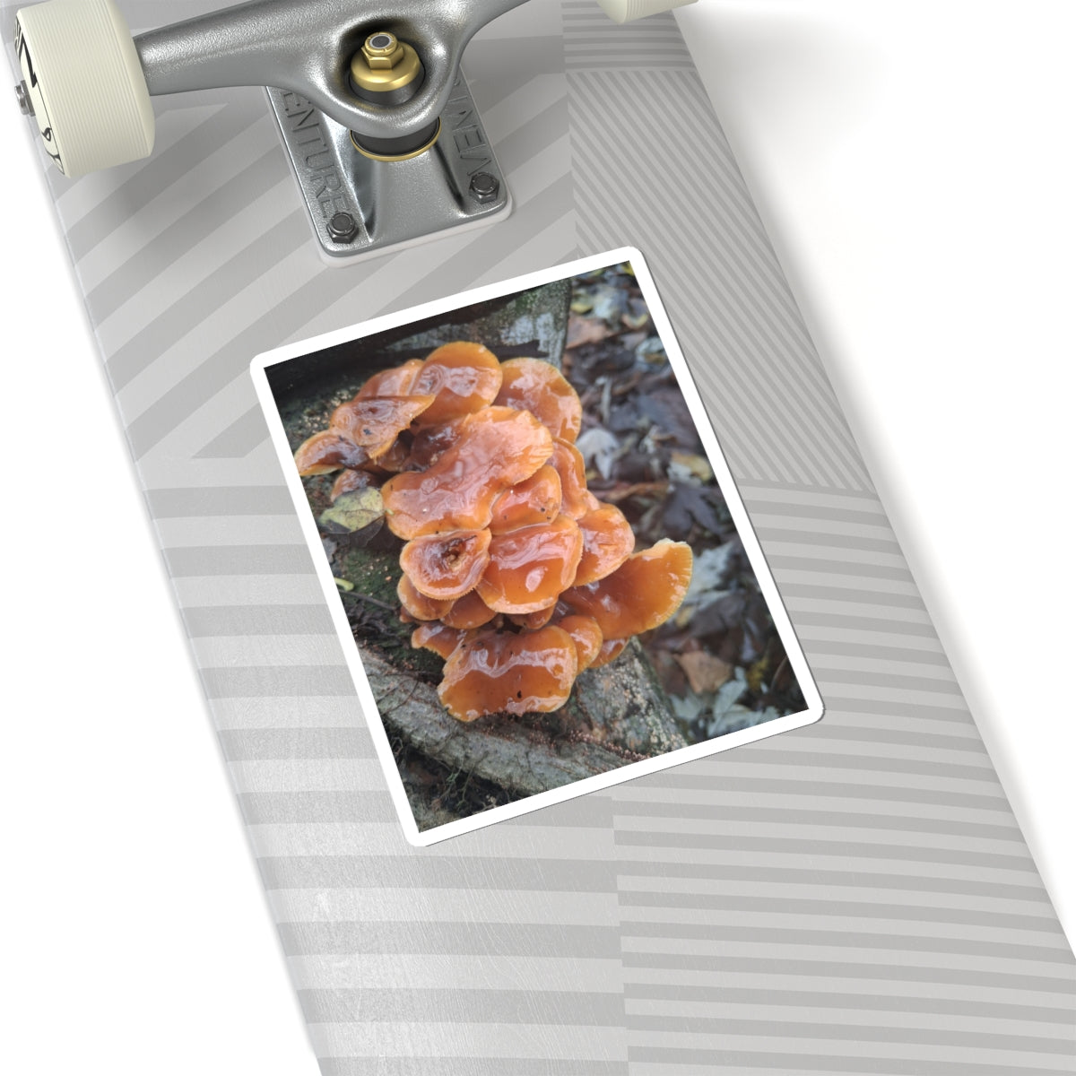 Mushroom Sticker — Orange Chicken of the Woods Nature Kiss-Cut Sticker