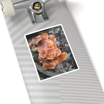 Mushroom Sticker — Orange Chicken of the Woods Nature Kiss-Cut Sticker
