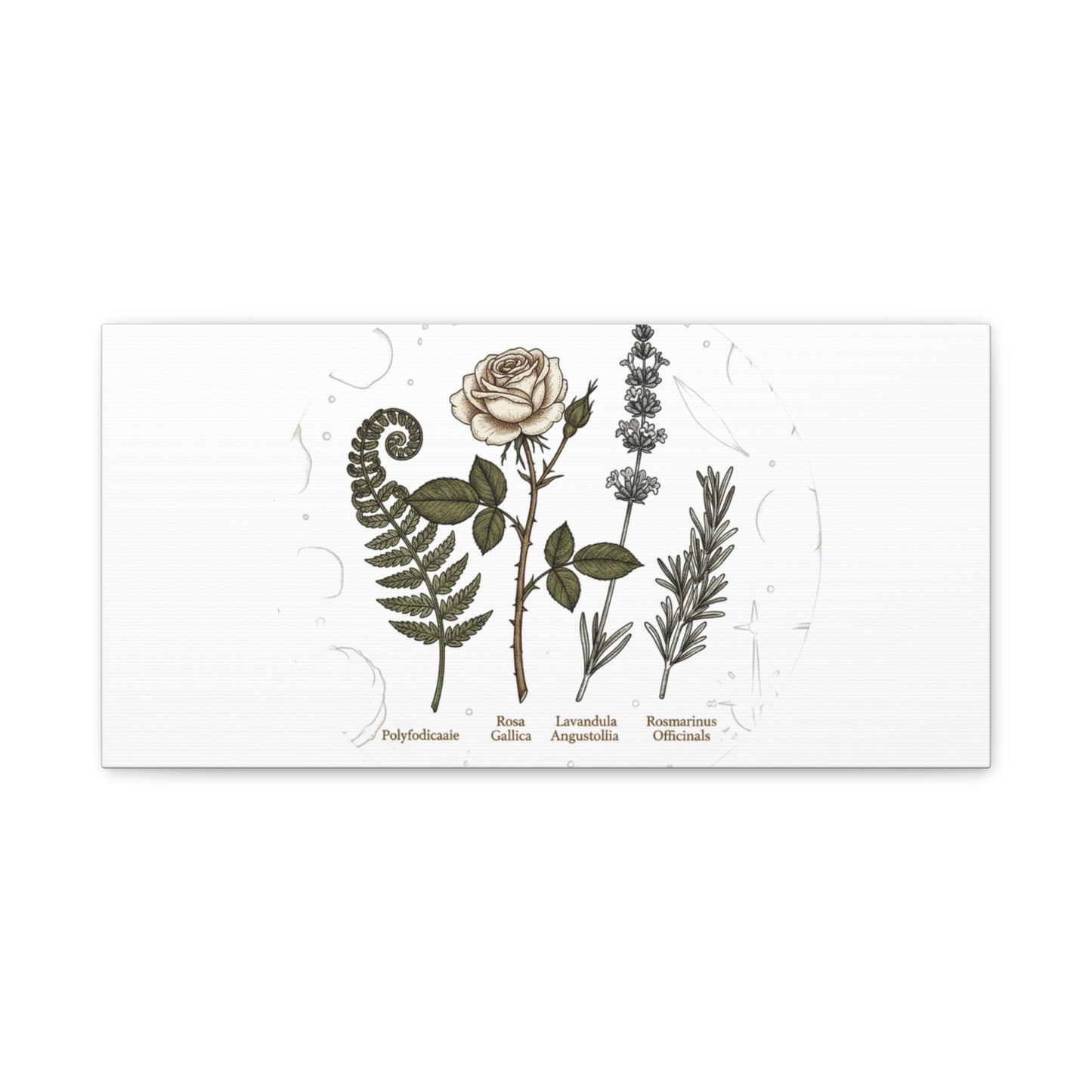 Matte Canvas, Stretched, 1.25"