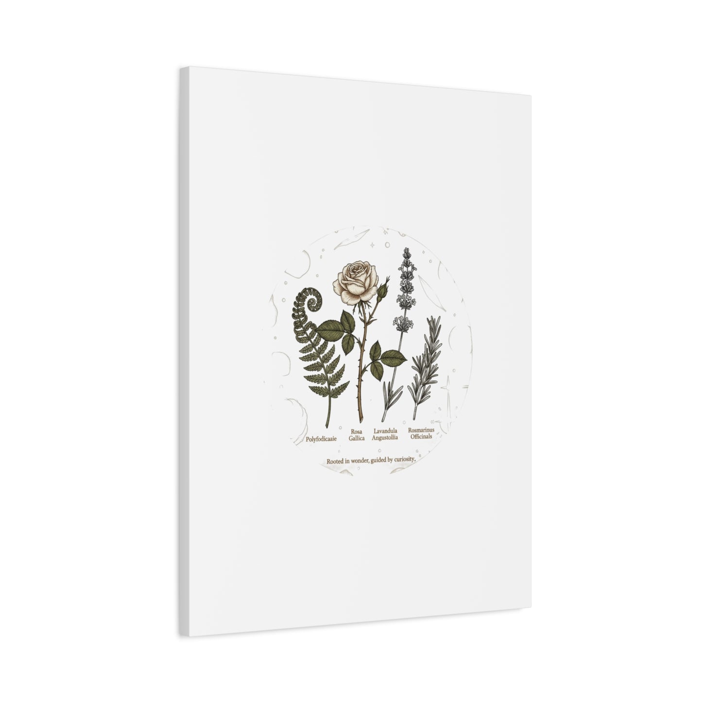 Matte Canvas, Stretched, 1.25"