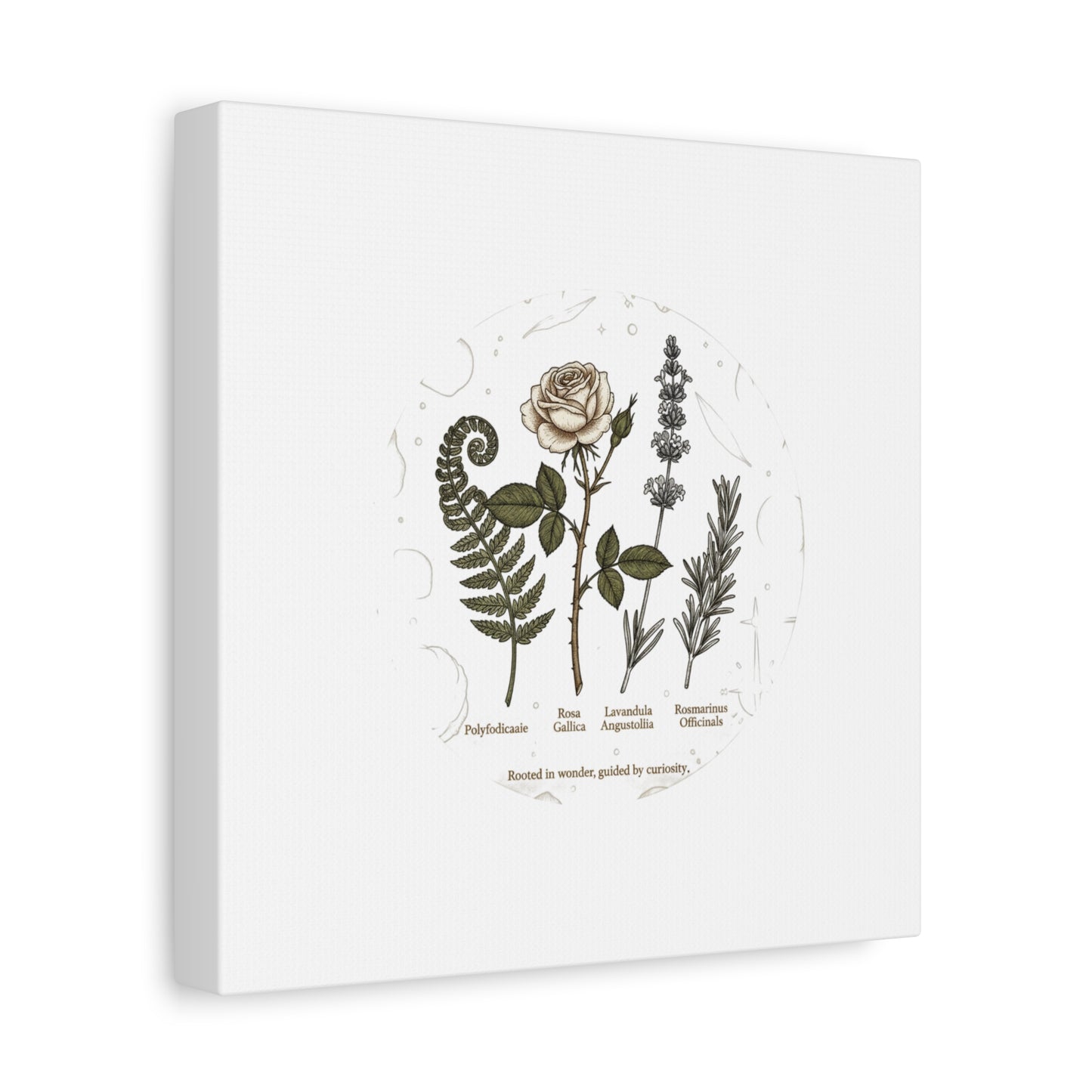 Matte Canvas, Stretched, 1.25"