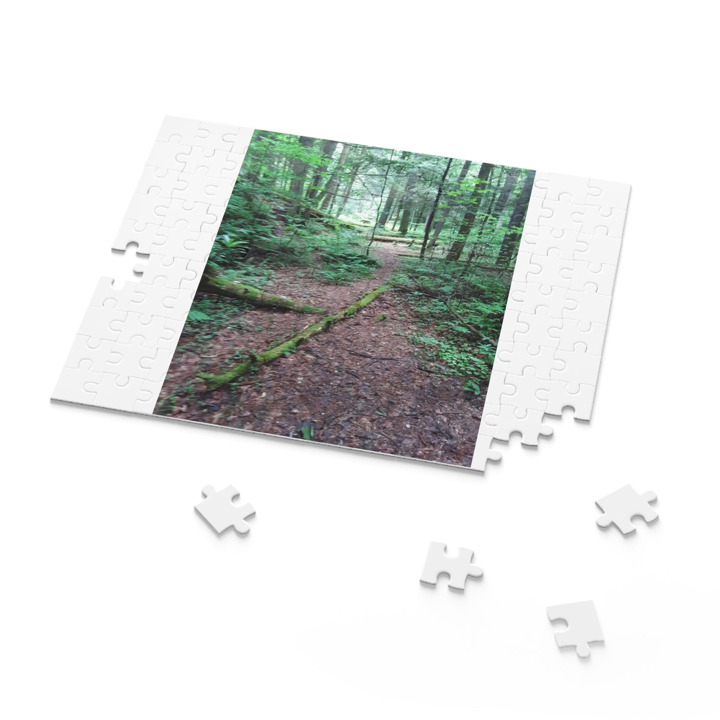 Forest Trail Puzzle - Scenic Woodland Path 120/252/500-Piece Jigsaw