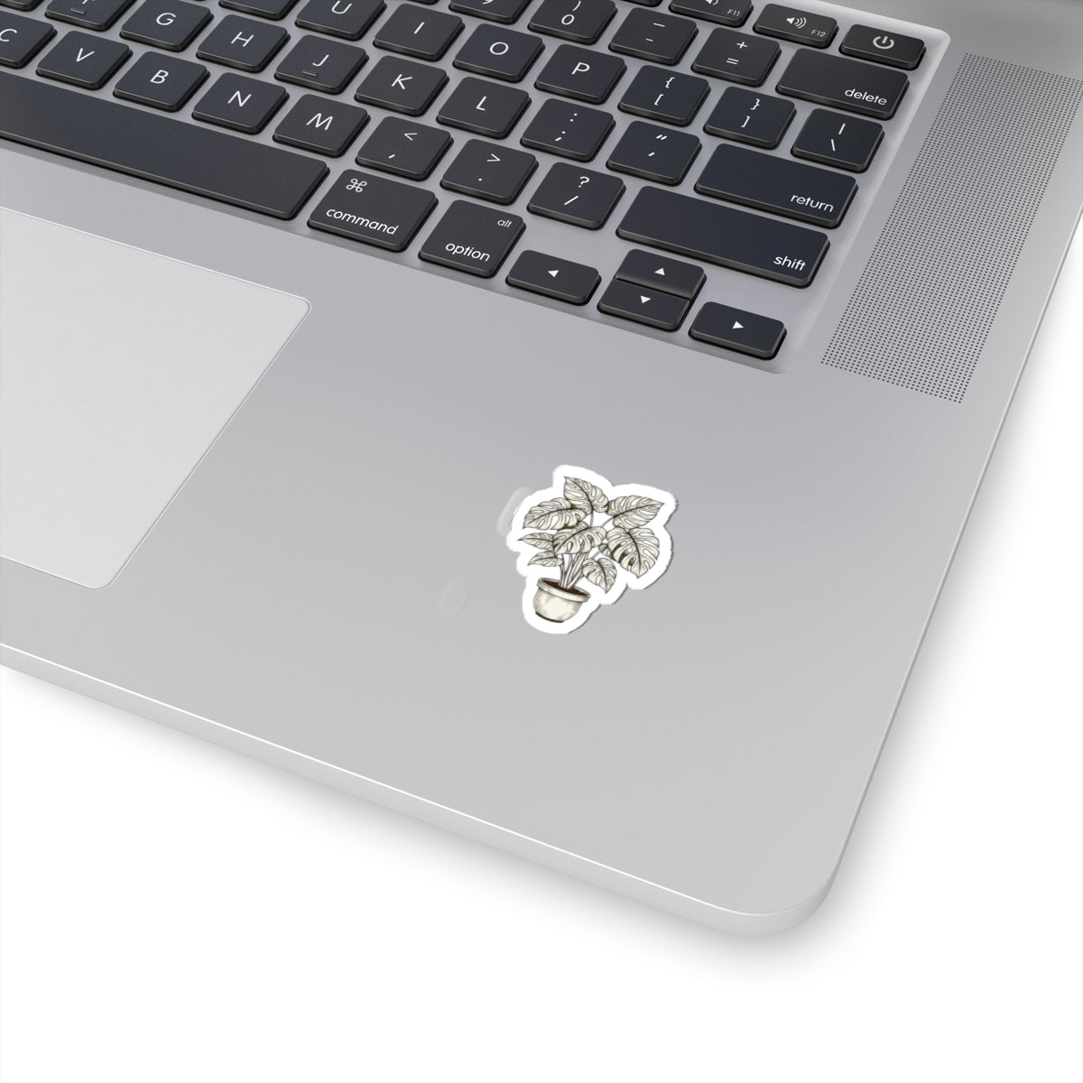 Moody Botanical Linework Plant Sticker | Herbarium Fine-Line Flora Kiss-Cut