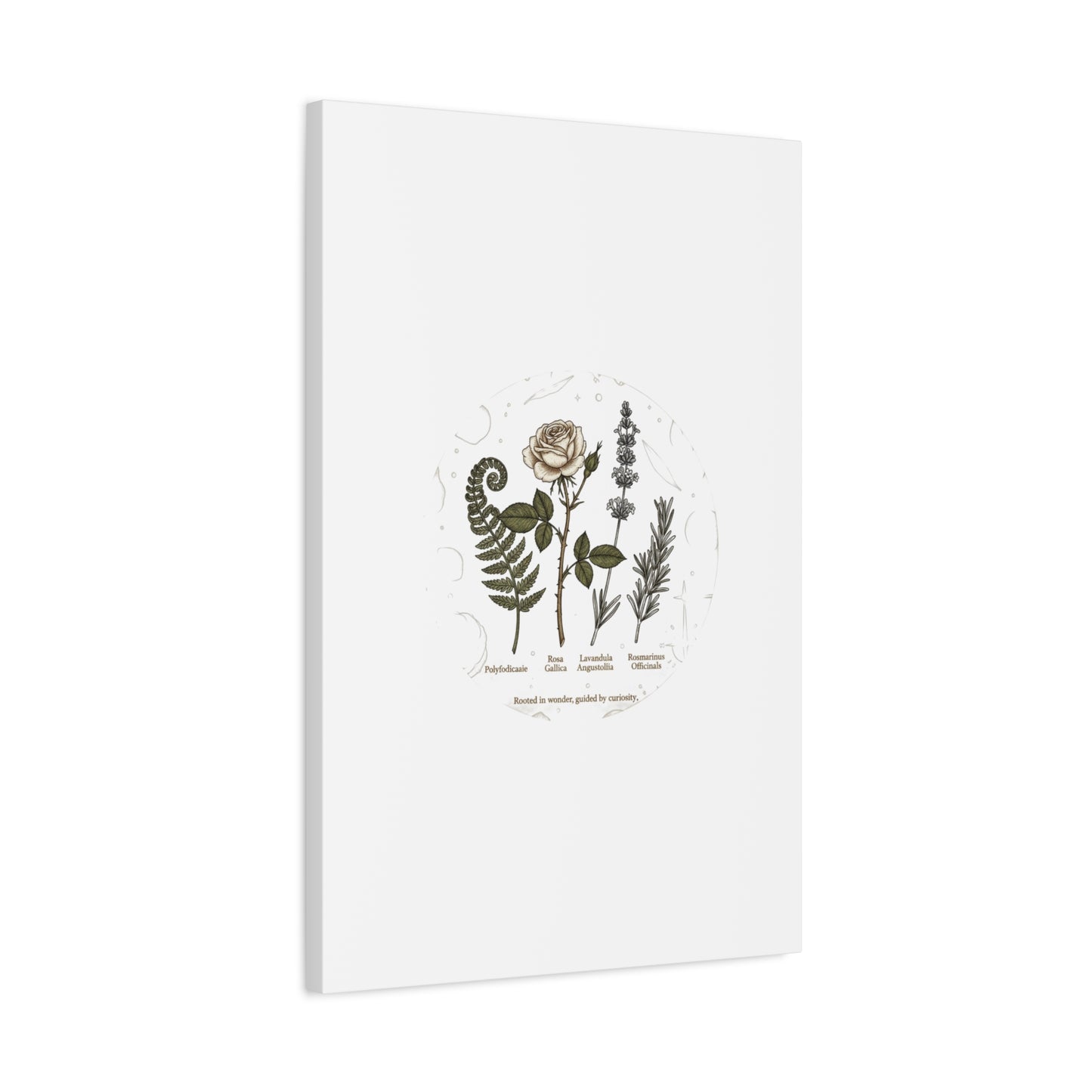 Matte Canvas, Stretched, 1.25"