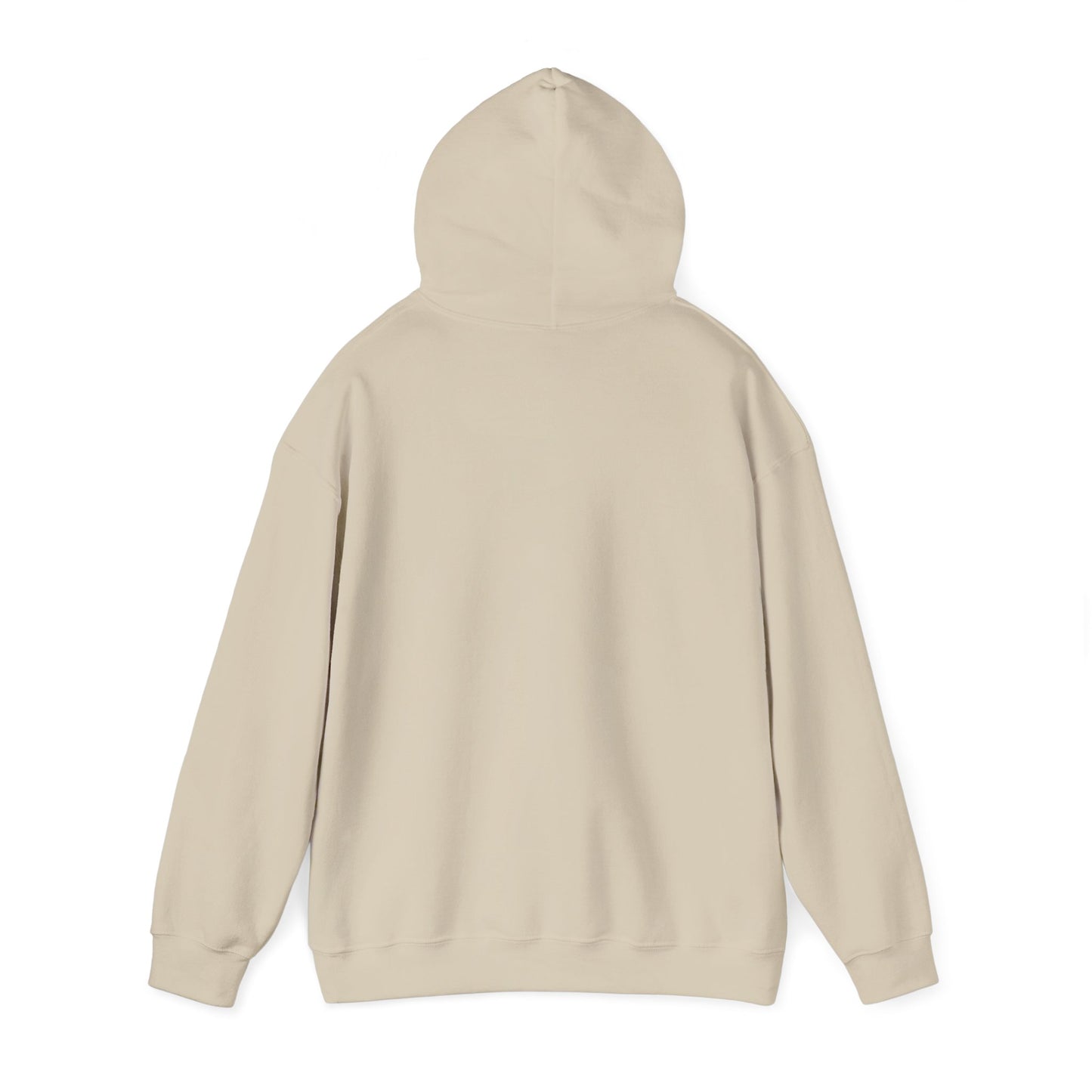 Rejoice in the Lord Hoodie - Light Colors – Christian Faith Pullover