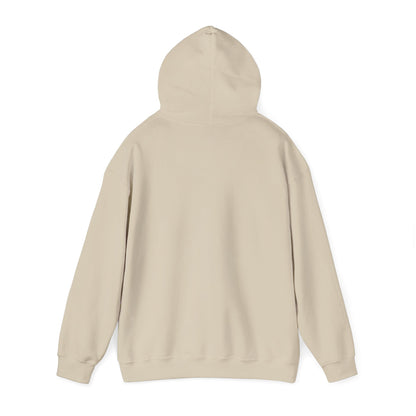 Rejoice in the Lord Hoodie - Light Colors – Christian Faith Pullover