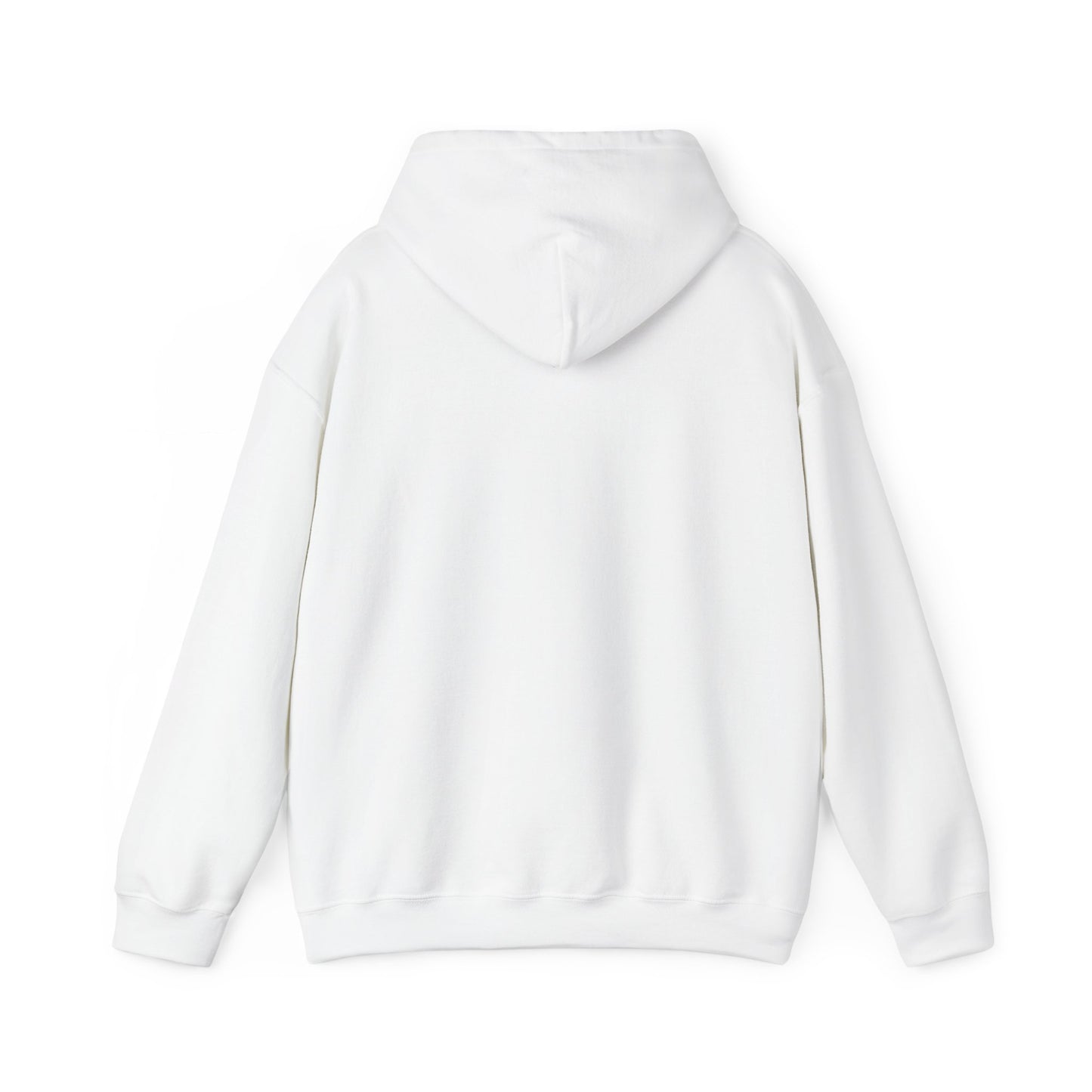 Rejoice in the Lord Hoodie - Light Colors – Christian Faith Pullover
