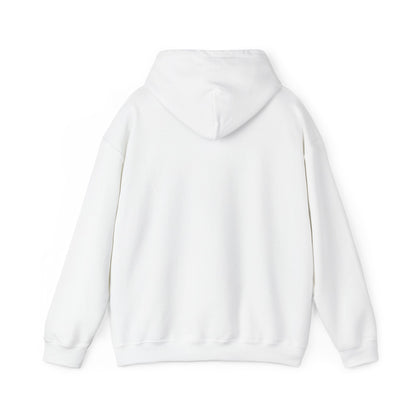 Rejoice in the Lord Hoodie - Light Colors – Christian Faith Pullover