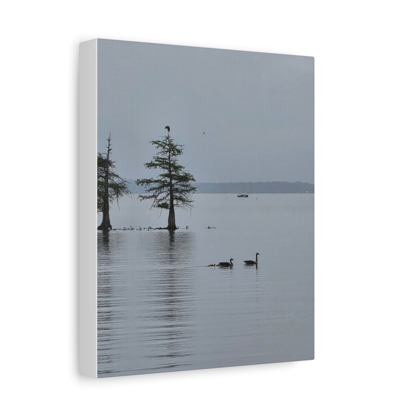 Tranquil Lake Canvas Print — Geese on Misty Water