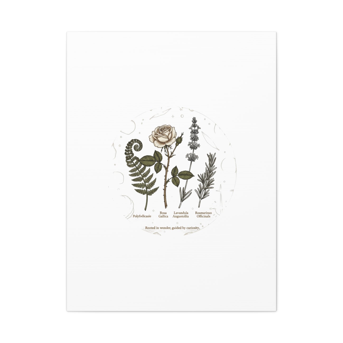 Matte Canvas, Stretched, 1.25"