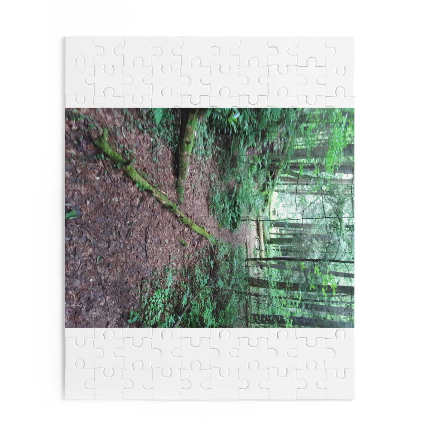 Forest Trail Puzzle - Scenic Woodland Path 120/252/500-Piece Jigsaw