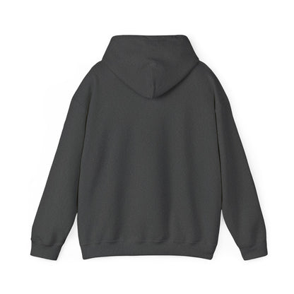 Rejoice in the Lord Hoodie - Dark Colors – Christian Faith Pullover