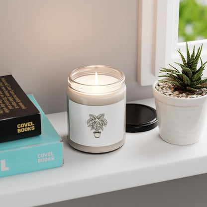 Fine Line Potted Plant Candle, Moody Botanical Art | Herbarium Style Soy