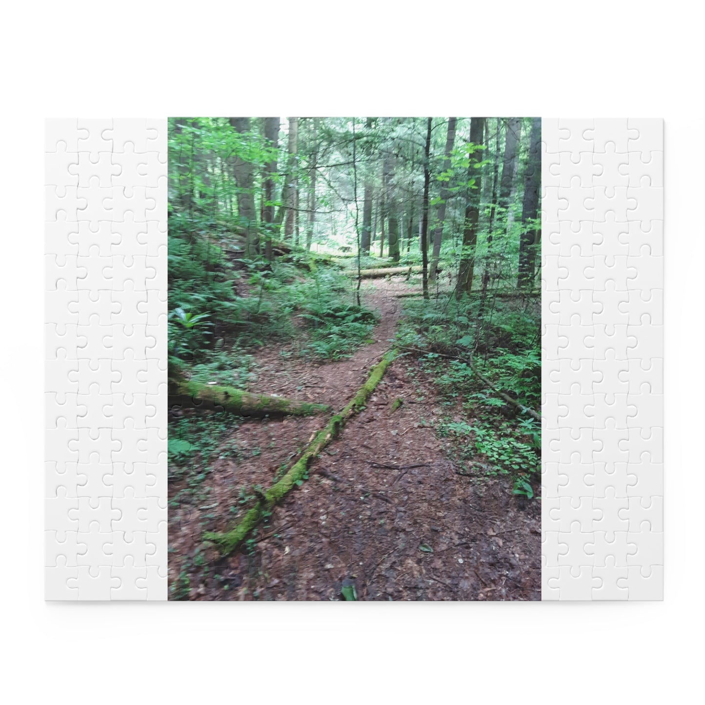 Forest Trail Puzzle - Scenic Woodland Path 120/252/500-Piece Jigsaw