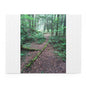Forest Trail Puzzle - Scenic Woodland Path 120/252/500-Piece Jigsaw