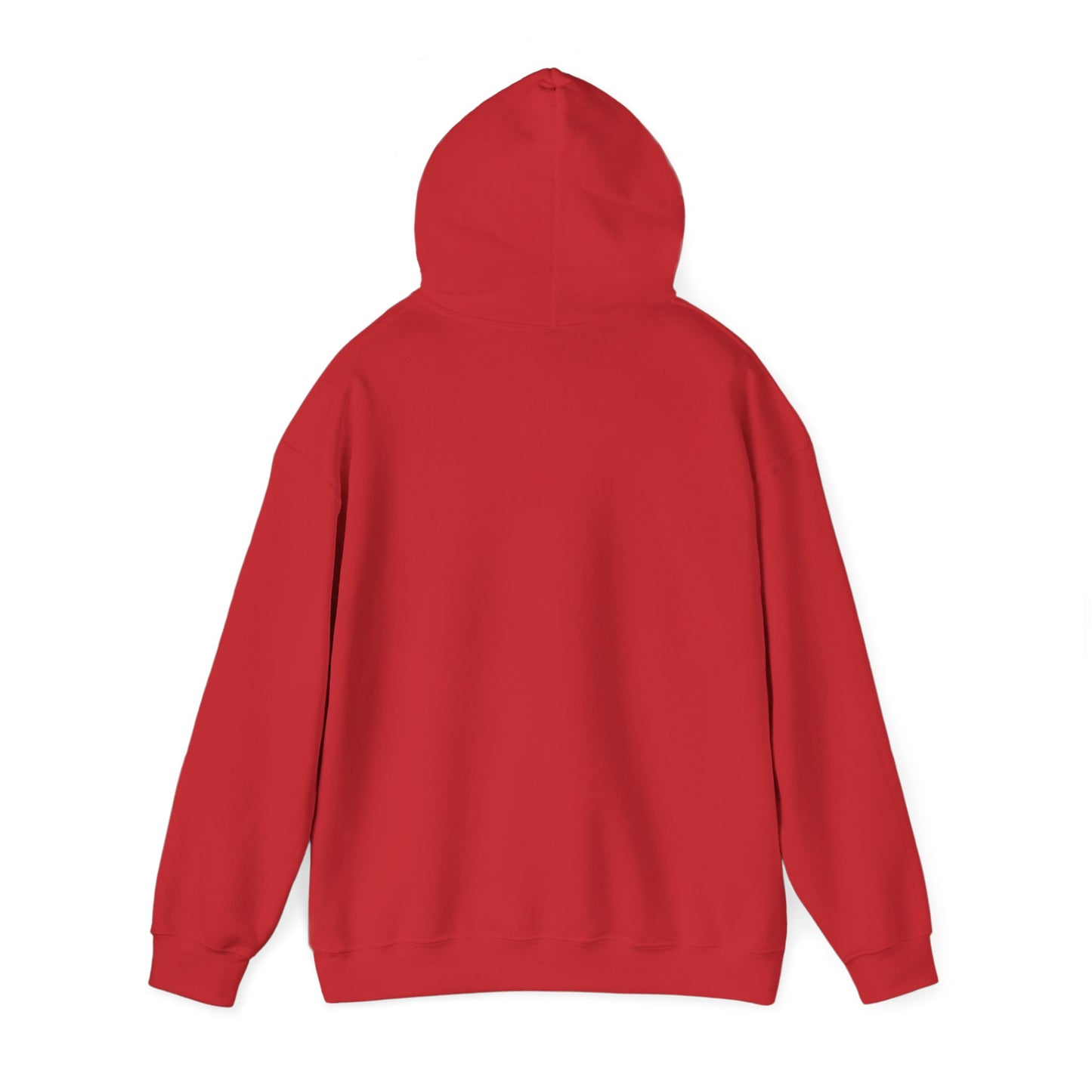 Rejoice in the Lord Hoodie - Dark Colors – Christian Faith Pullover
