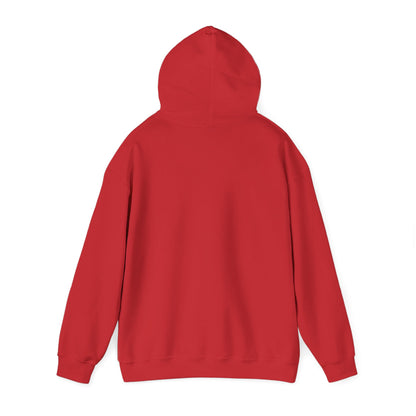 Rejoice in the Lord Hoodie - Dark Colors – Christian Faith Pullover